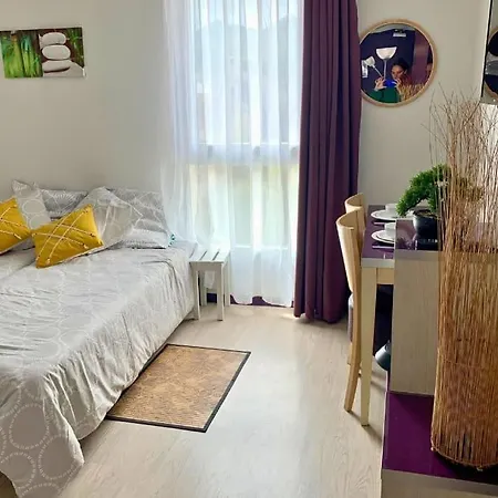 Апартаменты Tithome 305charmant 4 Personnes Лурд